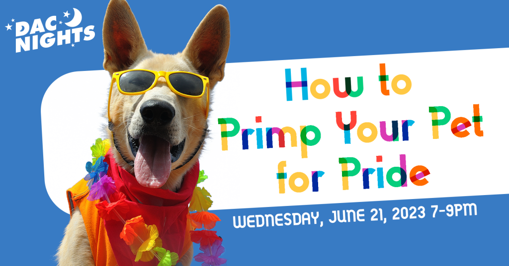 DAC Nights How to Primp Your Pet for Pride