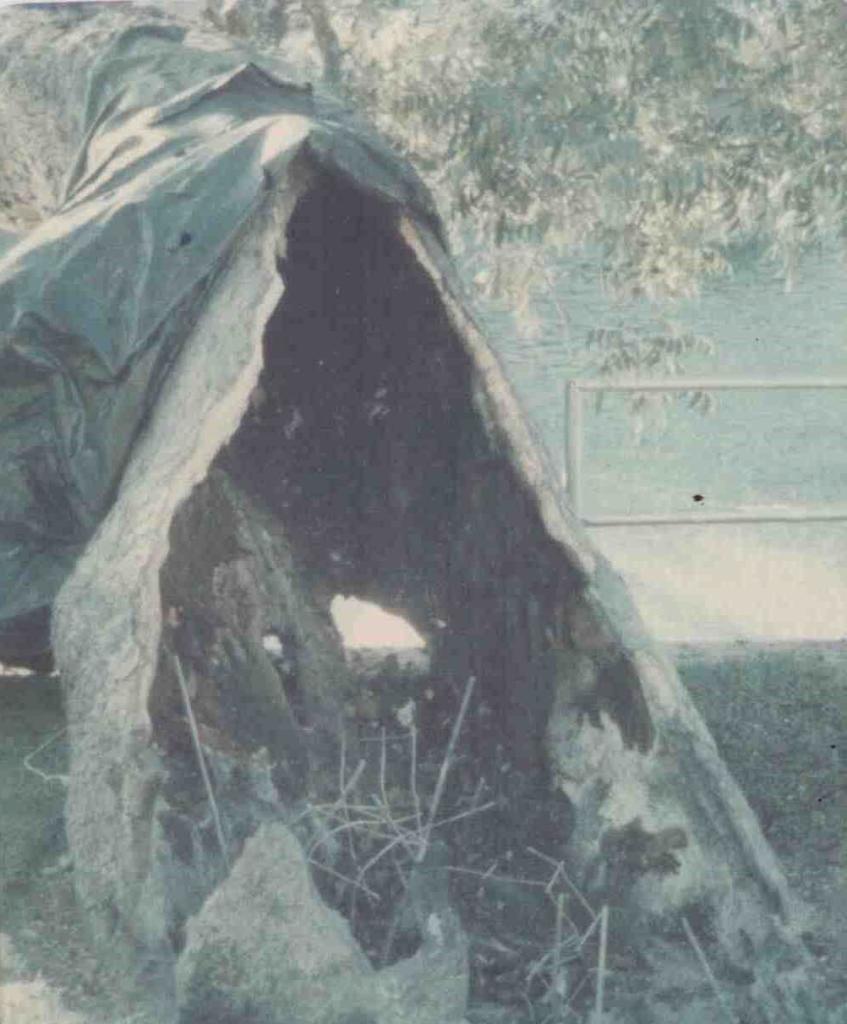 1970s photo of trunk cavity