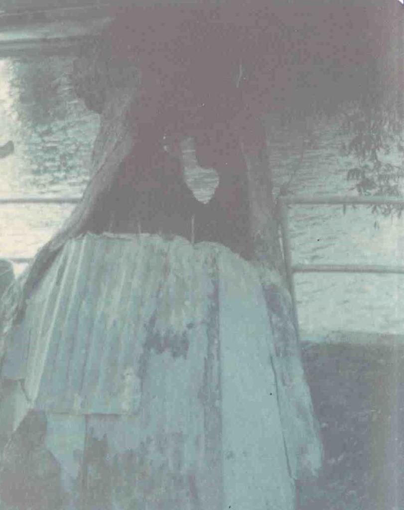 1970s photo of trunk cavity