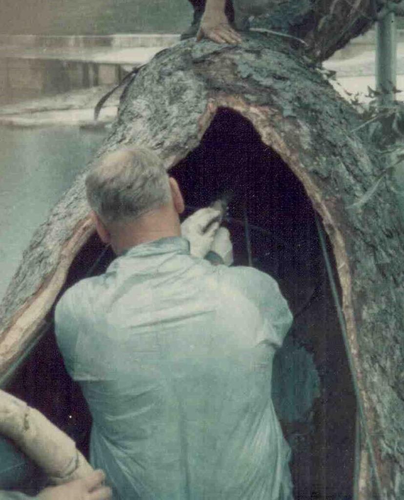 1970s photo of man filling upper trunk cavity with gunnite