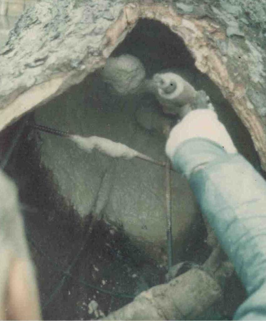 1970s photo of man filling upper trunk cavity with gunnite