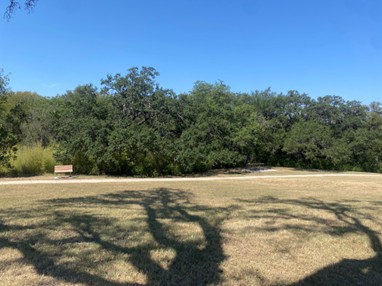 An open lawn is shown in the foreground with a sidewalk edge with trees and bushes in the background. 