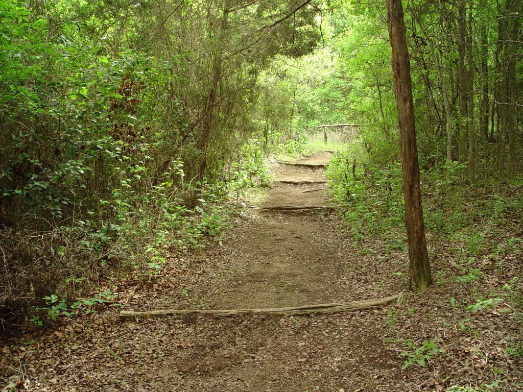 Trail at a Nature Preserve 