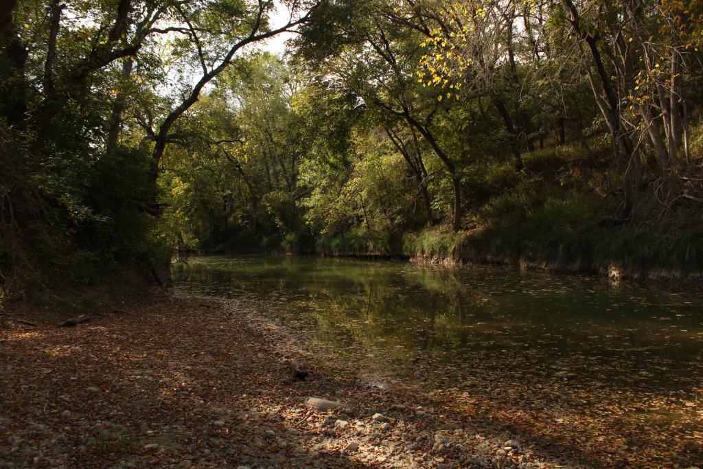 Onion Creek Wildlife Sanctuary