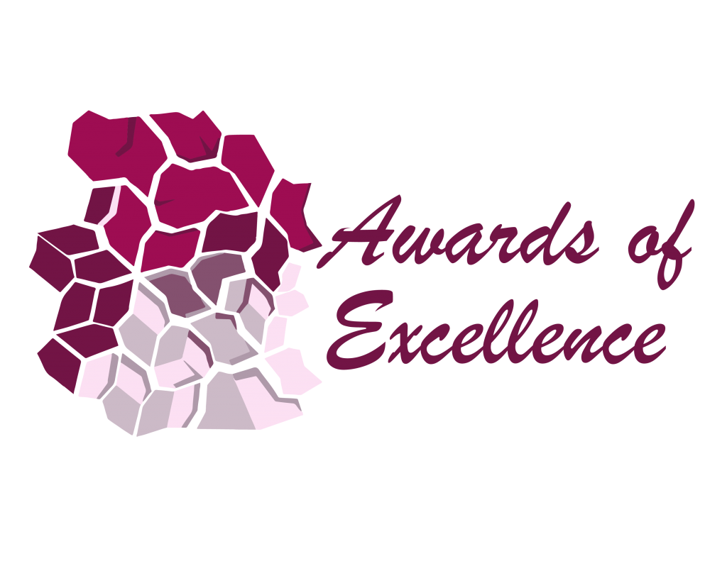 Awards Of Excellence 2023 graphic