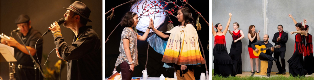 Latino Artist Access Program