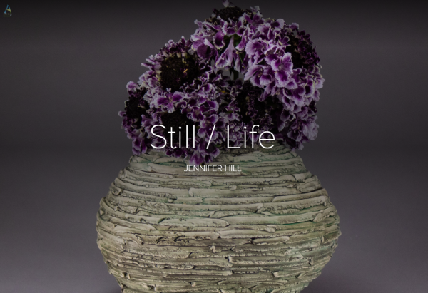 Still/Life by Jennifer Hill. Image of purple flower in hand-thrown stoneware vase