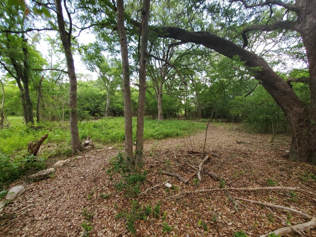 Foot path and oak tree at South Lakeline Neighborhood Park