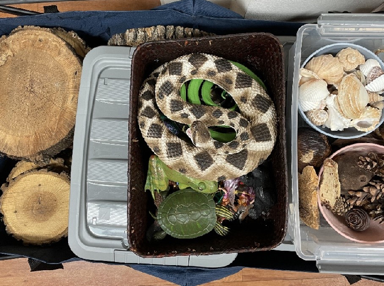 Close up of loose parts kit that includes tree cookies, fossils, shells, figurines, and fort building materials