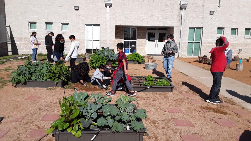 Overton Elementary School Park, children in the garden
