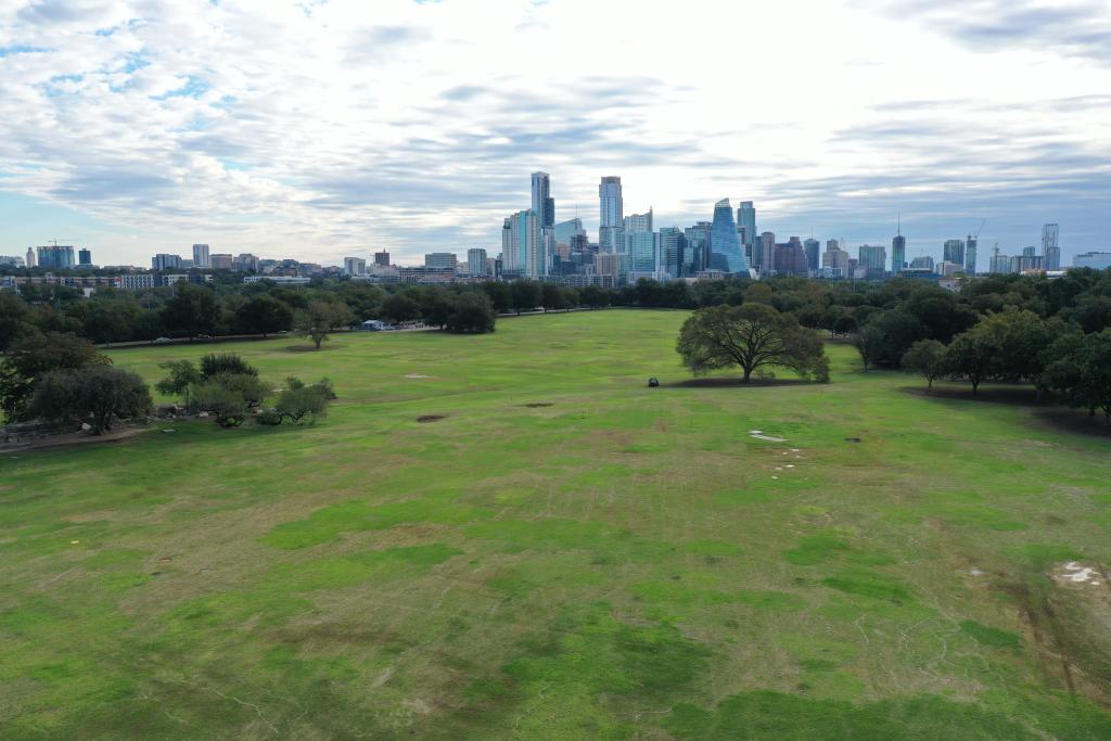 great lawn Oct 31 image