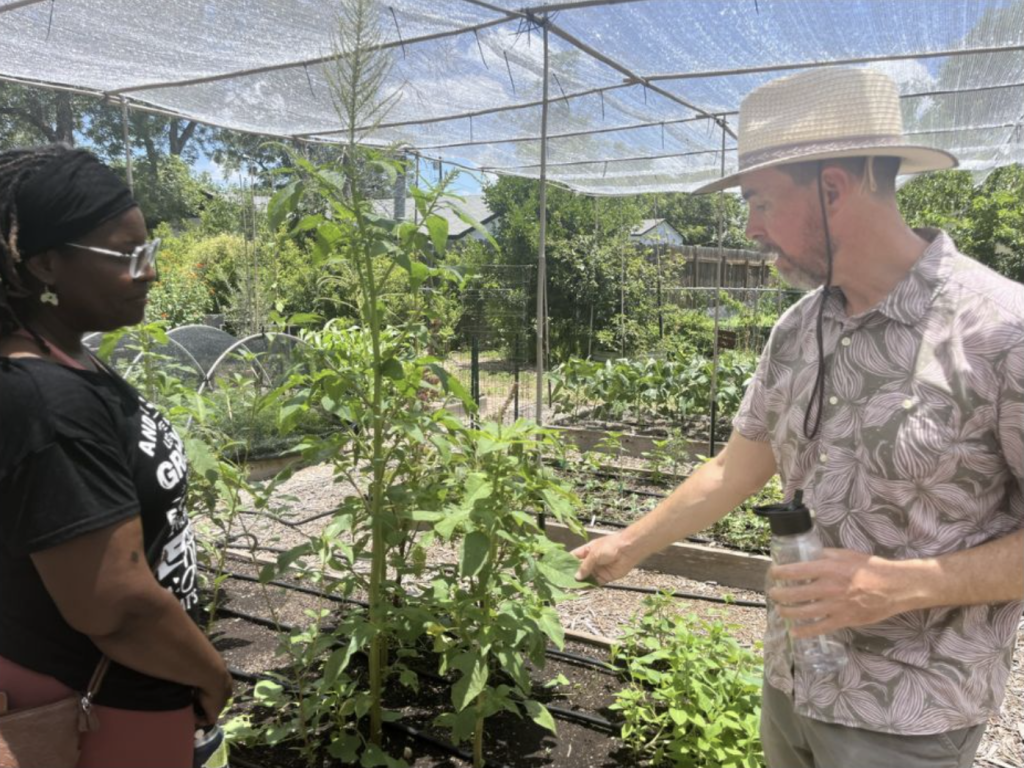 Community Gardens