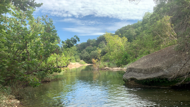 The waters of Barton Creek flowing gently past a rock on a clear day