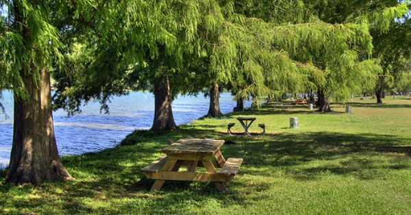 What do Local Parks Mean to You? | AustinTexas.gov