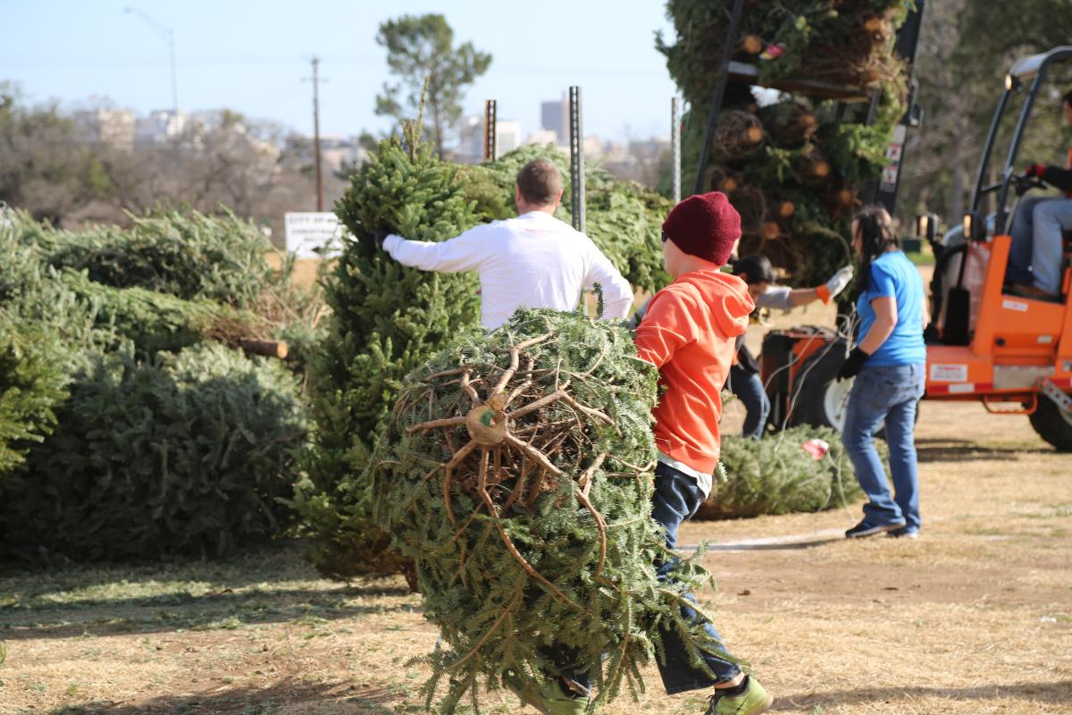 Recycle your Holiday Tree after Christmas! AustinTexas.gov