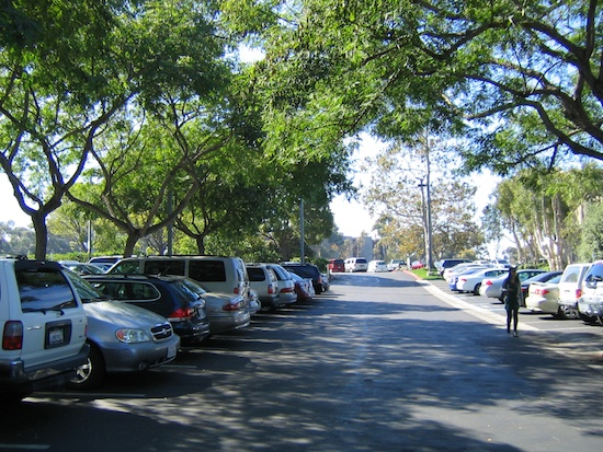 Picture of tree shaded parking lot.