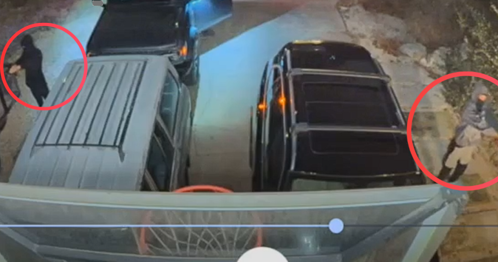 auto theft and burglary suspects described above and below