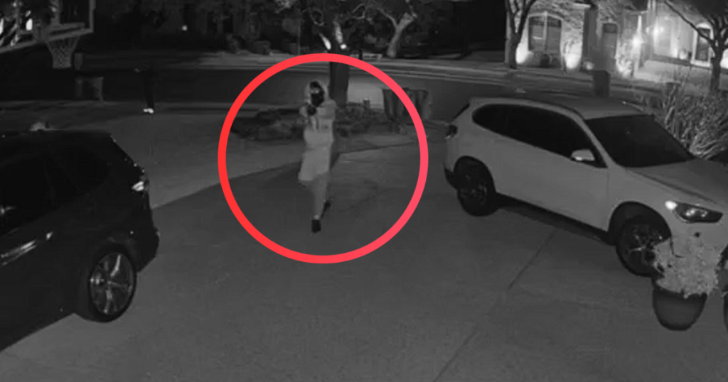 auto theft and burglary suspects described above and below