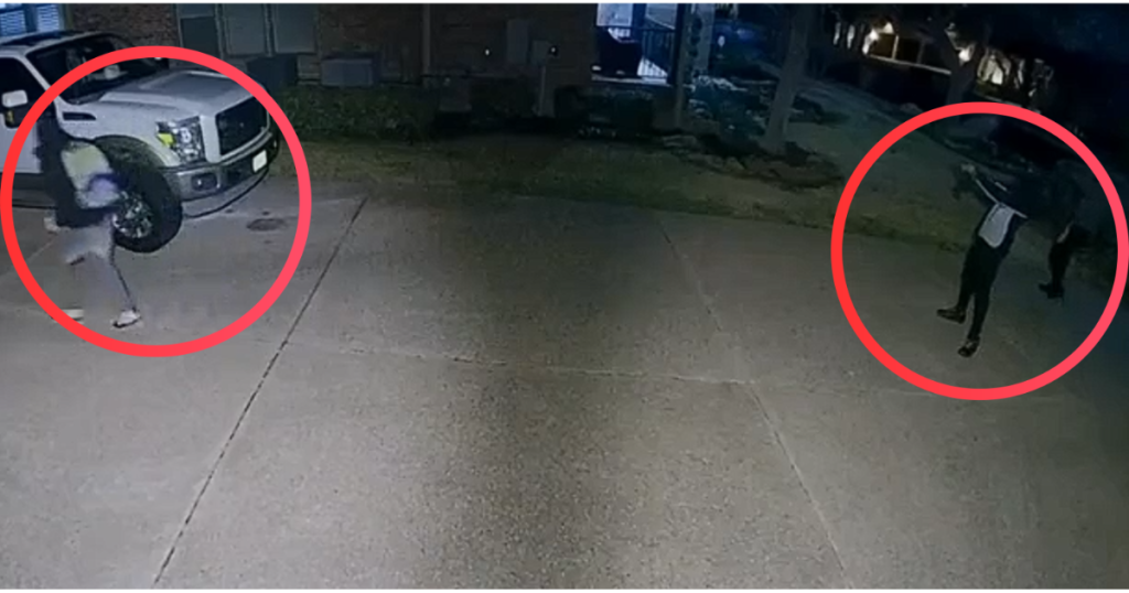 auto theft and burglary suspects described above and below