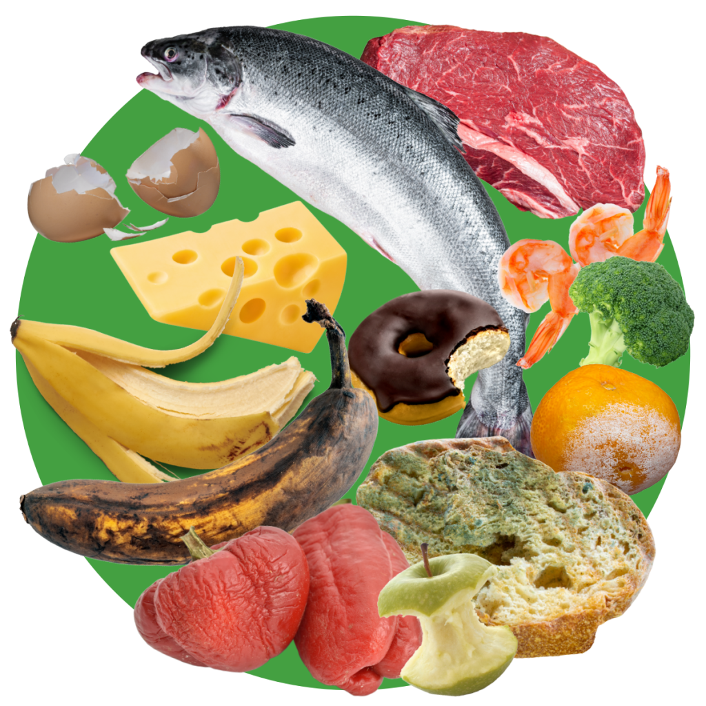An assortment of food scraps including fish, cheese, egg shells, banana peels, and more.