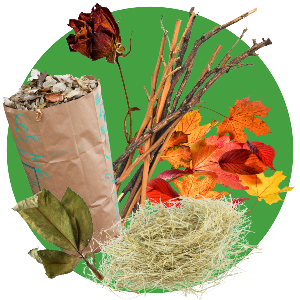 An assortment of plant material like twigs, leaves and sticks.