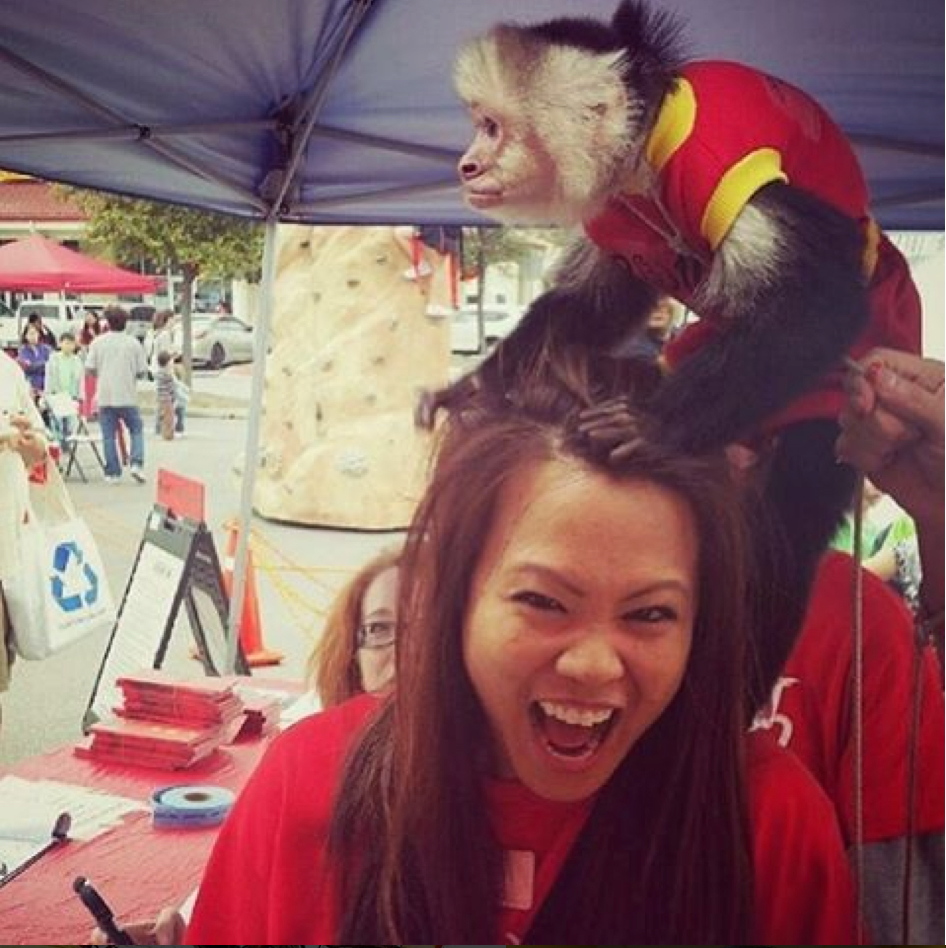 Year of the Monkey-- monkey  climbing on the head of a surprised girl.