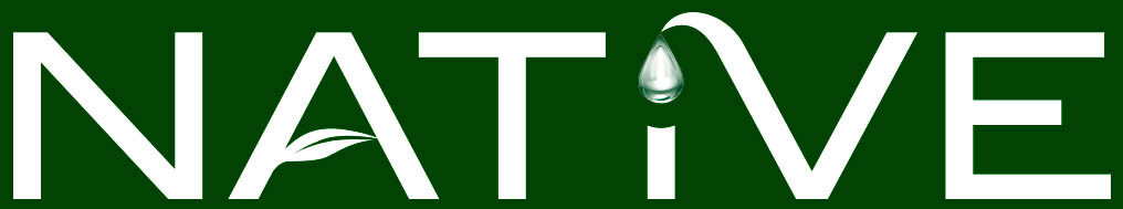 Gold Austin Green Business Leaders | AustinTexas.gov