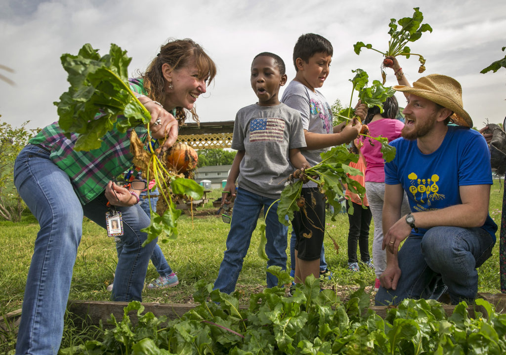 Ilya with a teacher and a few students picking radishes.