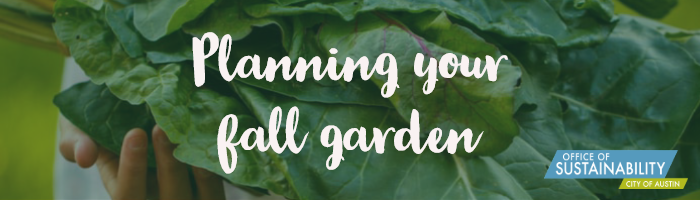 Planning your fall garden