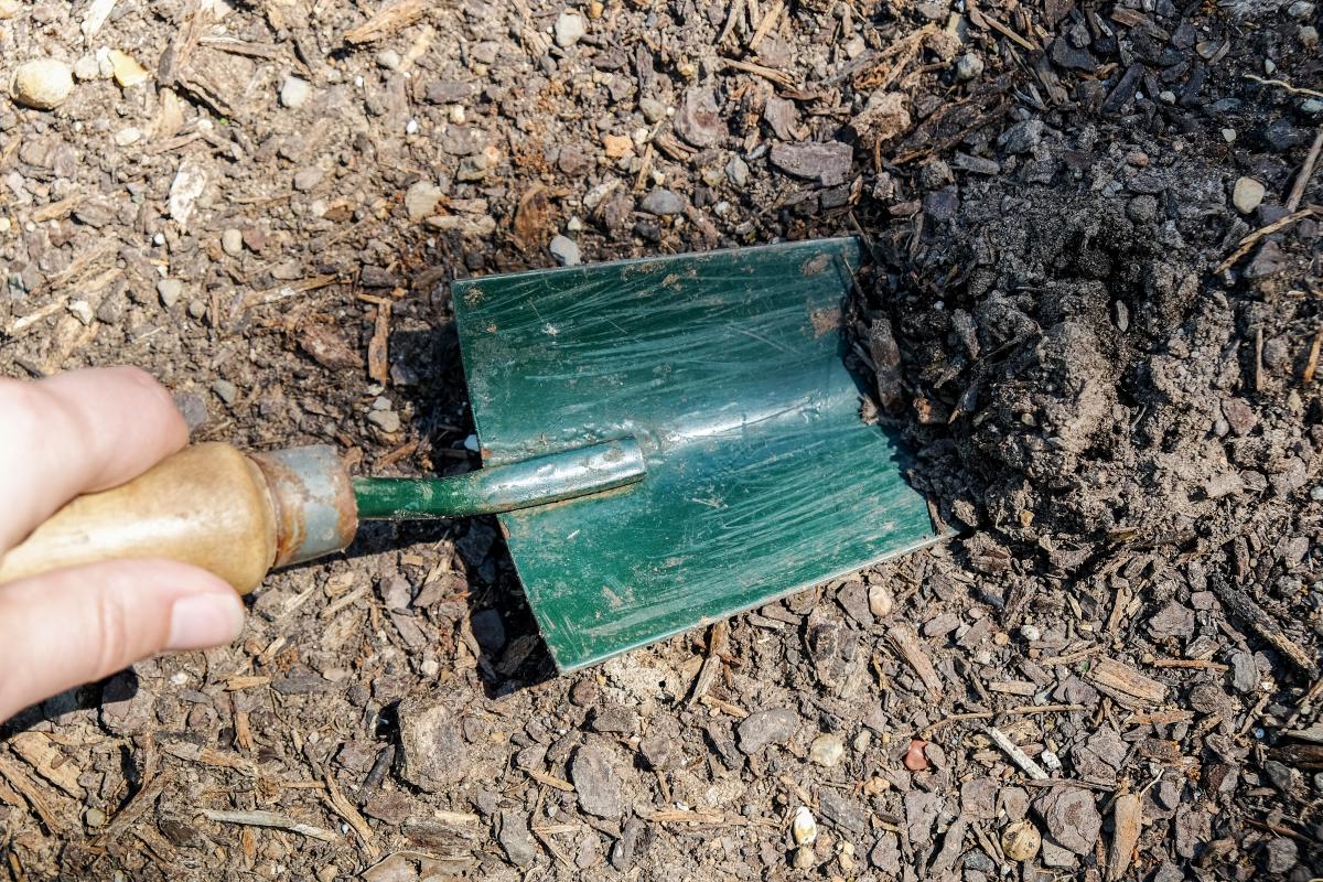 Trowel digging in the dirt