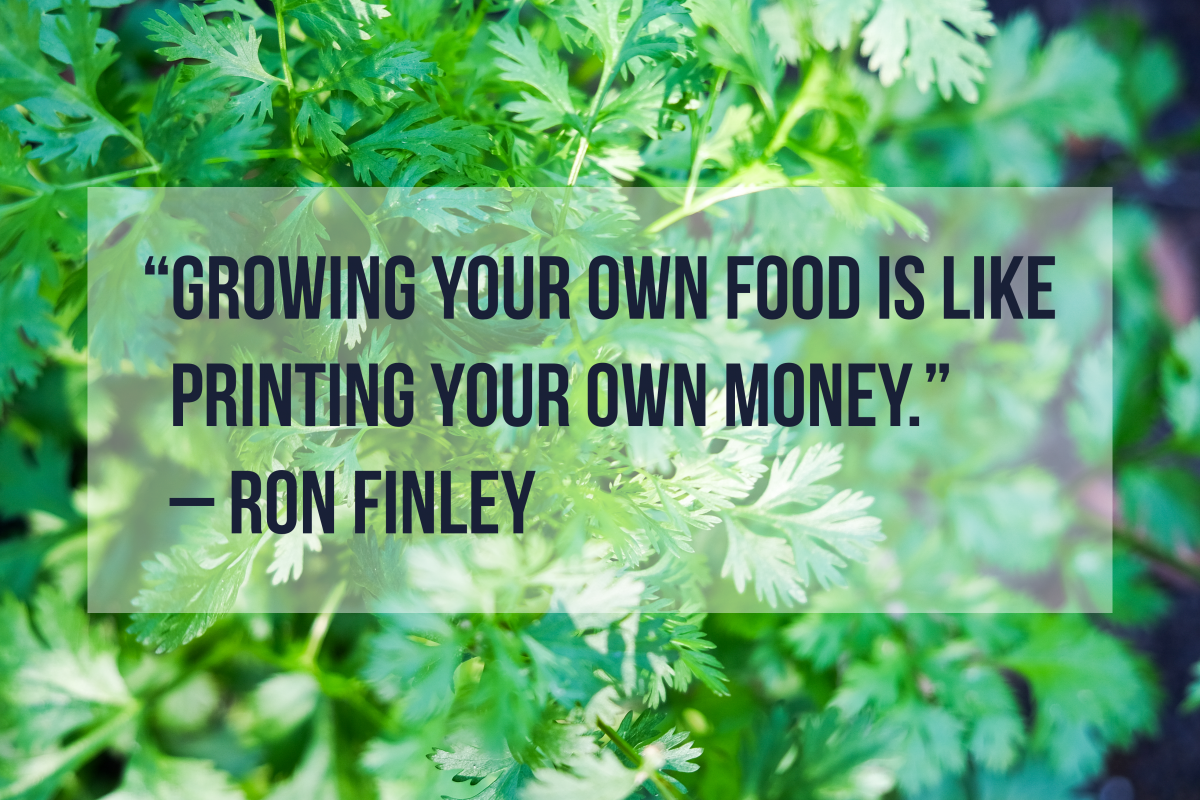 "Growing your own food is like printing your own money." Photo