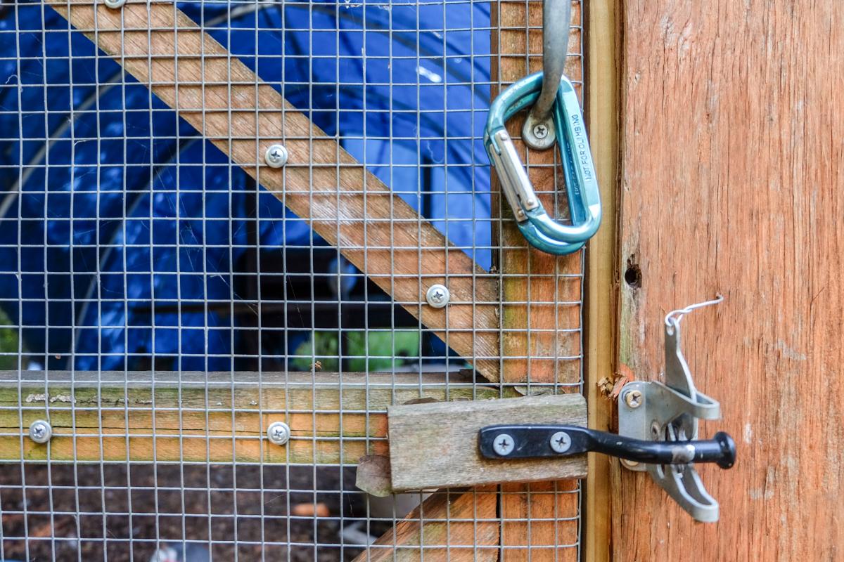 Close up of locking mechanism on coop door.