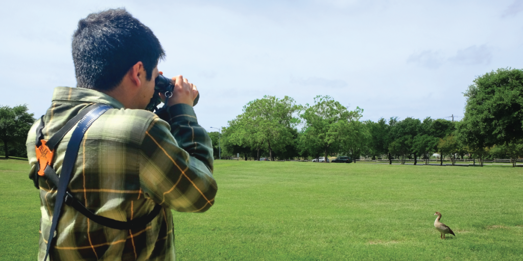 Sebastian takes a closer look at an Egyptian Goose through binoculars at Mueller Lake Park.