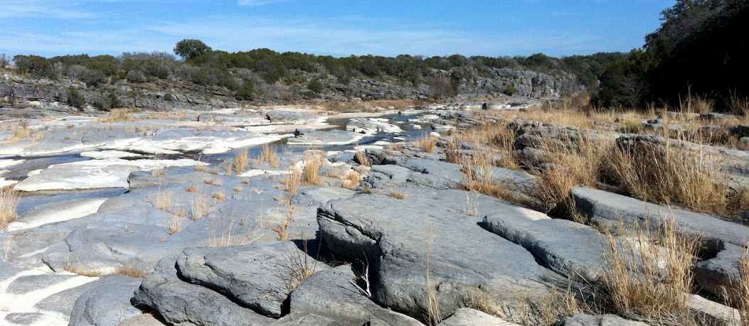 Rocky creekbed landscape photo with trees in the background.