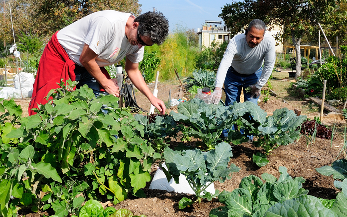 Two people gardening 