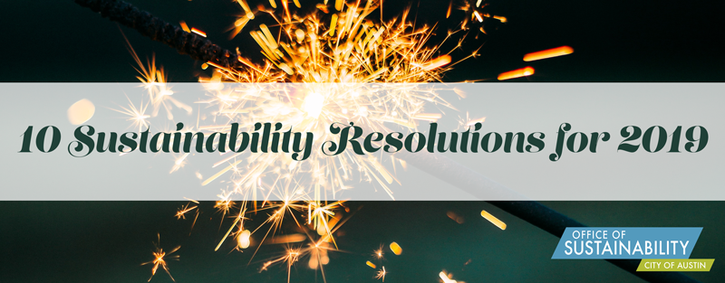 10 Sustainability Resolutions for 2019