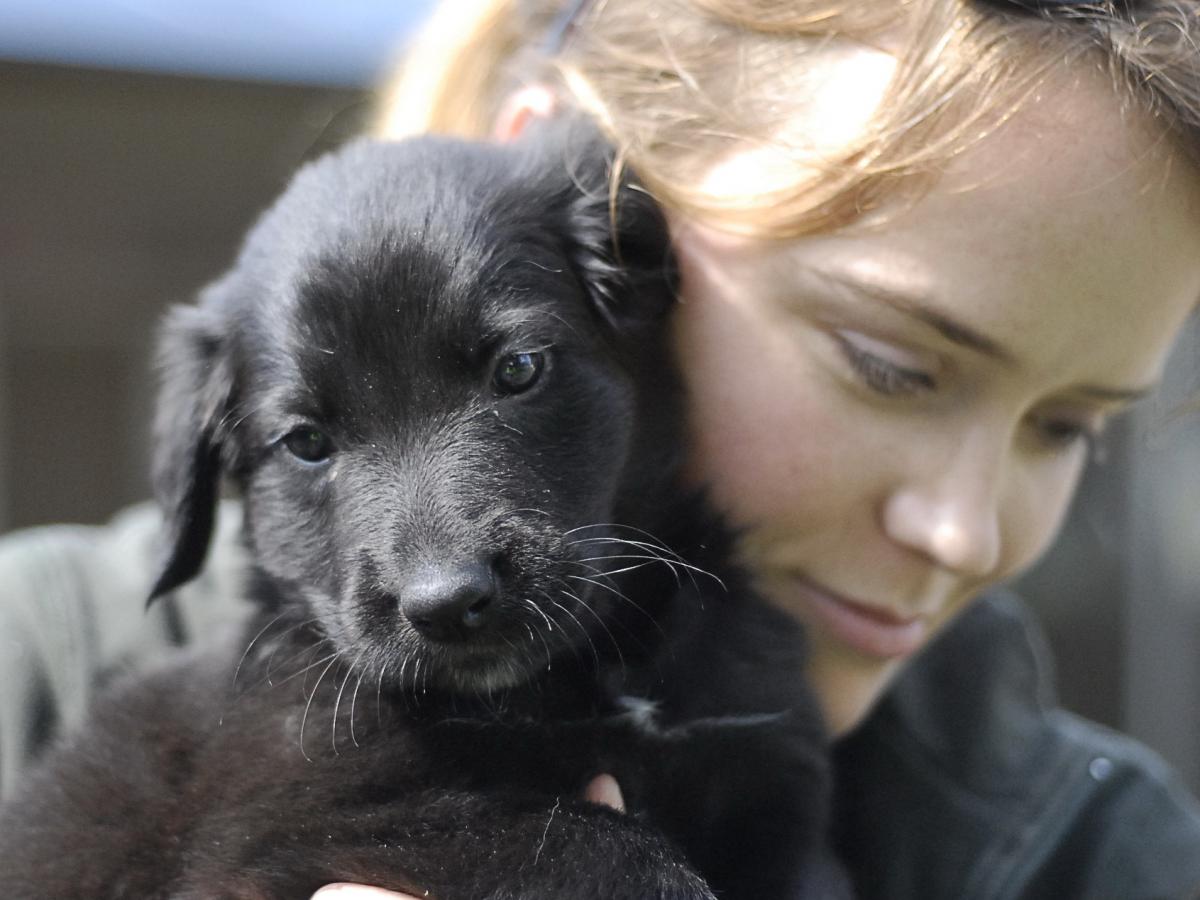 image of a girl holding a puppy 
