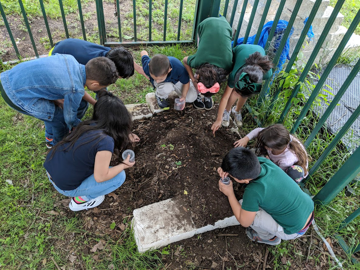 Students searching for roly polies in a dirt pile.