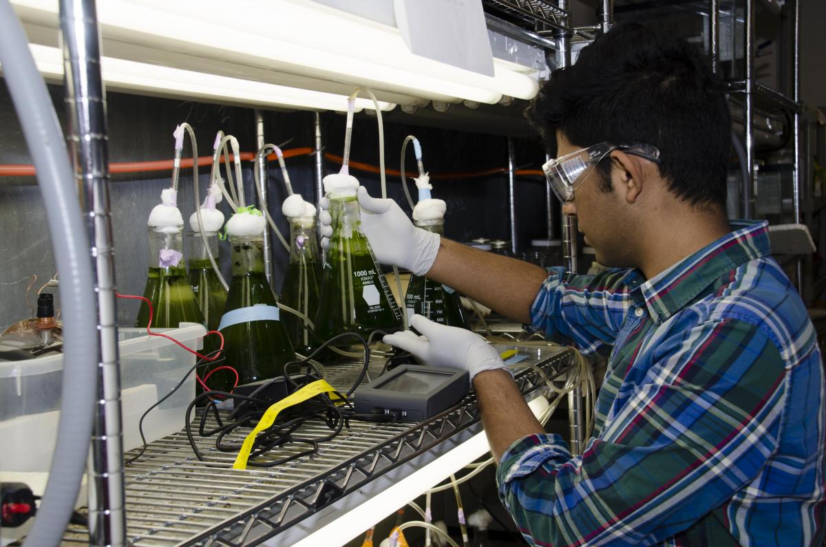 Sameer Pusapaty with science goggles on lifting a beaker with green fluid.