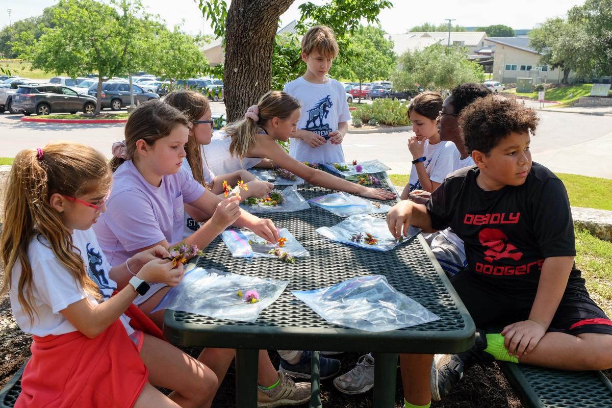 Students looking at their flowers, seated at a table.