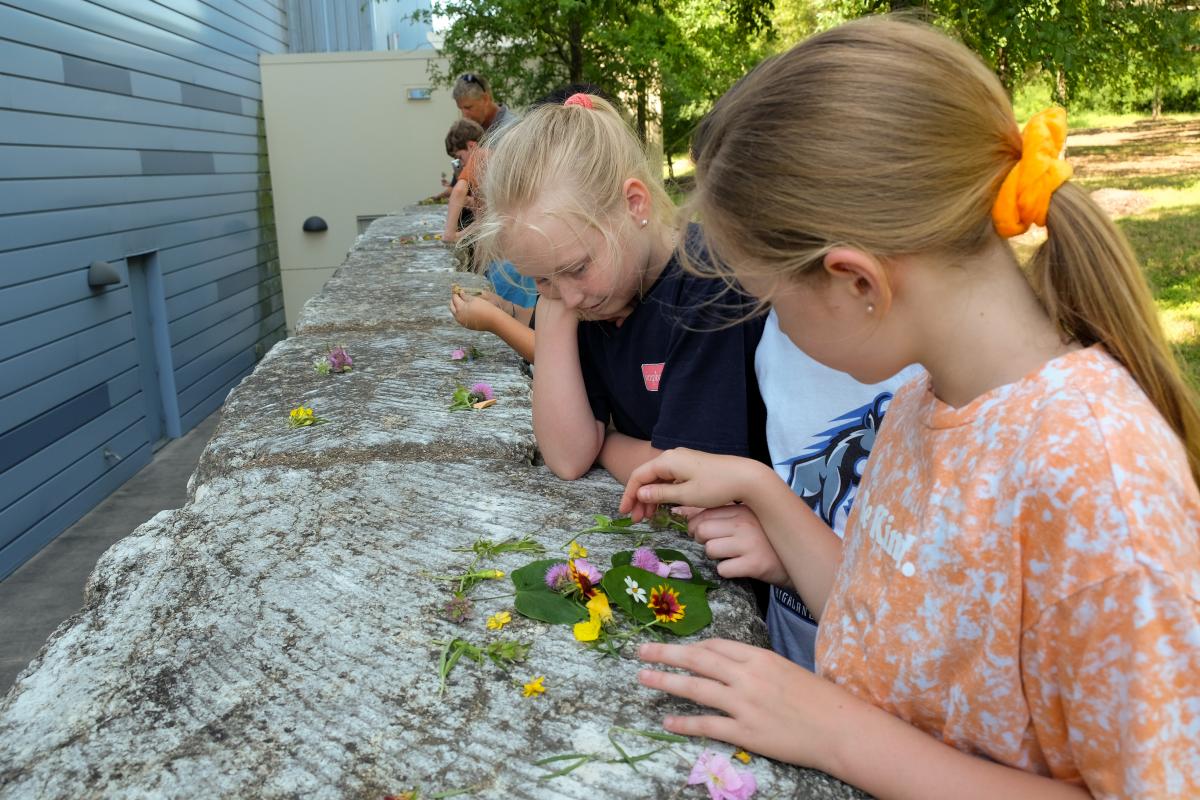 Students making art on large rocks.