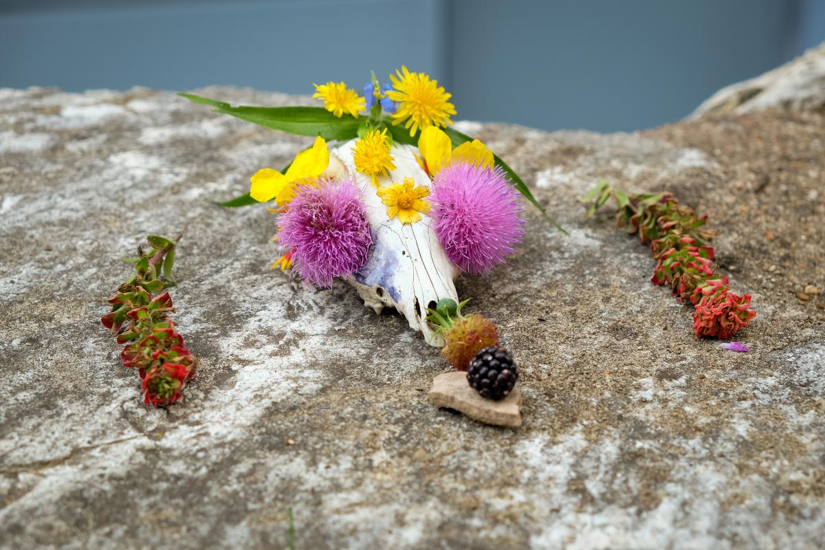 Flower art with an animal skull incorporated.