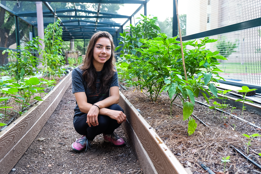 Susan crouched down in the UT garden with plants surrounding her.