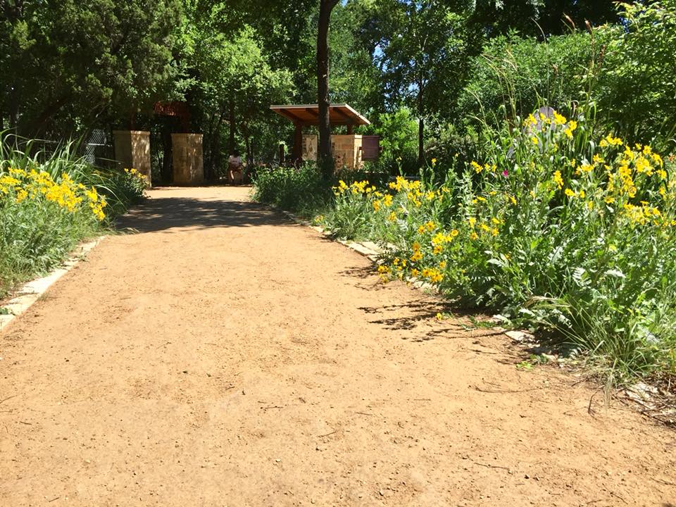 Trail with yellow flowers along the sides.