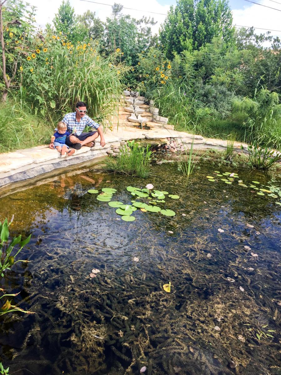 Man with child sitting on the edge of the pond.