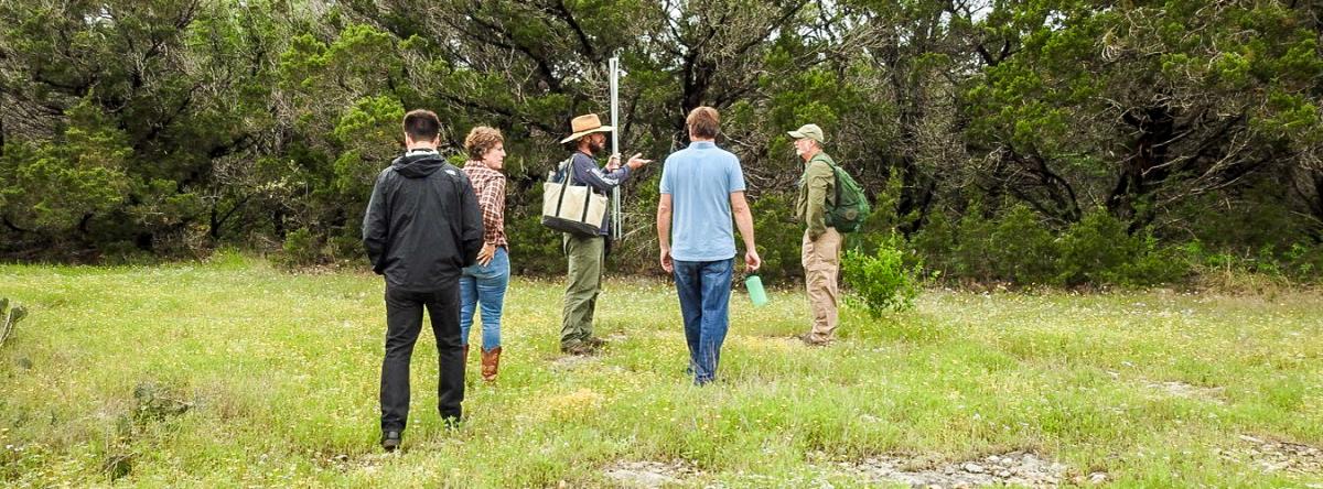 City staff track Golden-cheeked Warblers