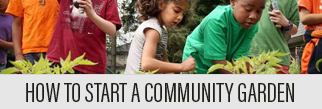 How to start a community garden