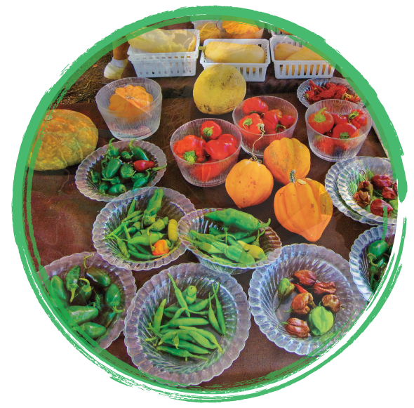 Fruits and veggies in baskets surrounded by a green circle