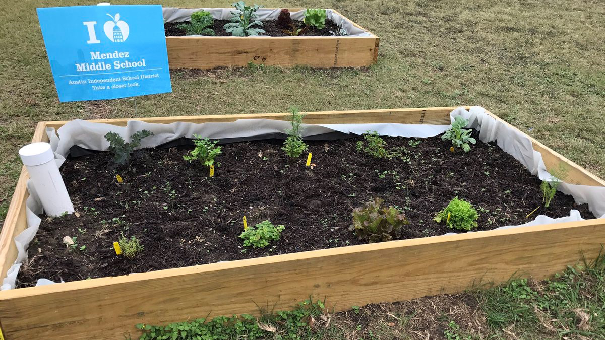 Garden bed at Mendez Middle School