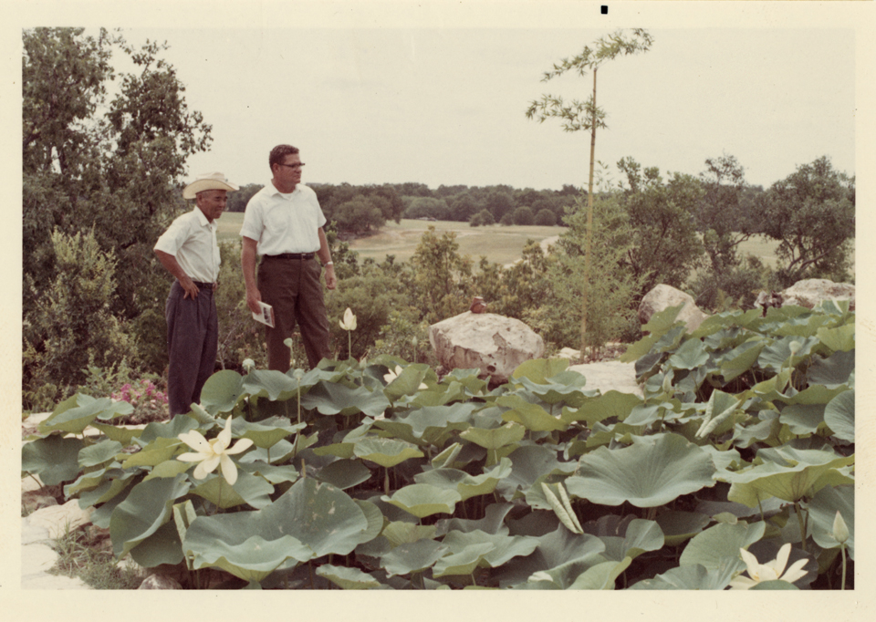 Mr. Taniguchi and Mr. Robinson in the Japanese Garden sepia